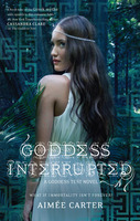Cover image for Goddess Interrupted